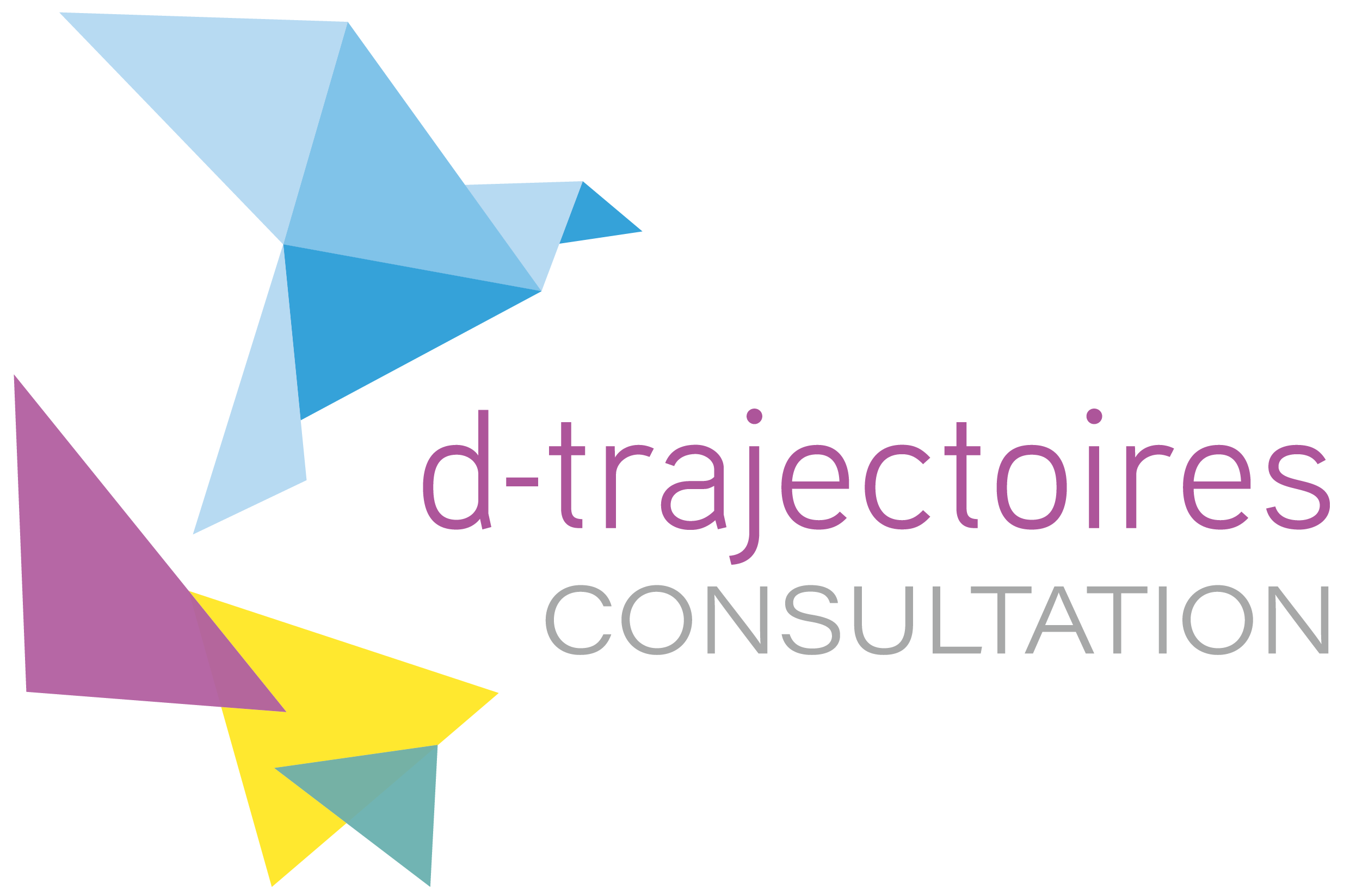 d-trajectoires - consultation